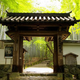 Illustration for article titled Bad Tourists Lead to Photography Ban at Japanese Temples